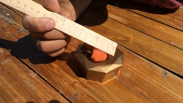 Малина сорт Золотые купола