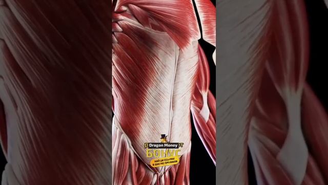 Что будет если пить горячию воду натощак
