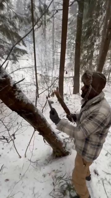 -5338250043249465942