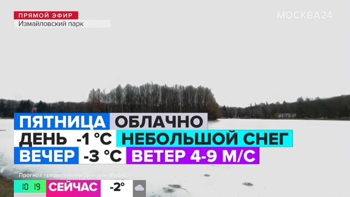 "Утро": скорость ветра в Москве составит 4–9 м/с 24 января