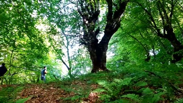 Природный каменный мост Дагестан #Nebo_kaitaga