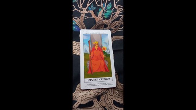 Карта дня на 24 января 2025 года