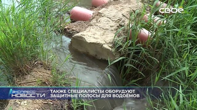 Экспресс новости на Своём от 24 января 2025г. 14:00