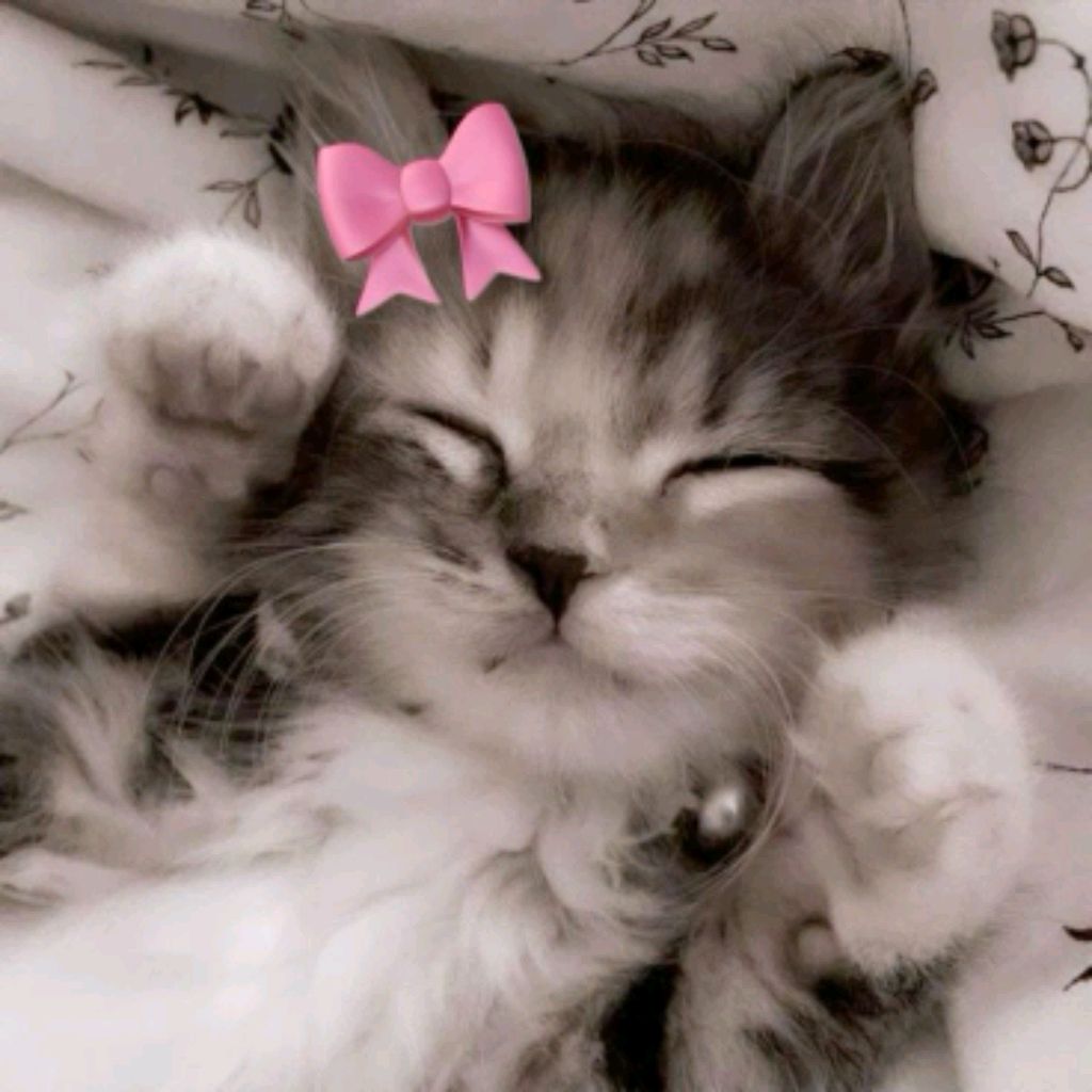 жду всех🎀