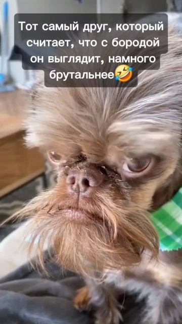 Солидный 😁