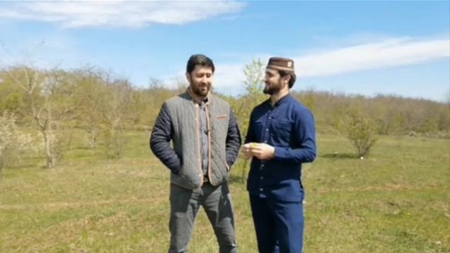 гости в этом бренном мире