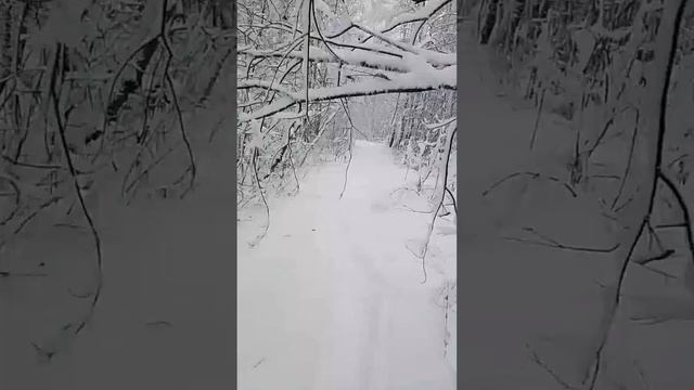 ШОК СНЕЖНАЯ БУРЯ! АНОМАЛИЯ! вышли ли они....