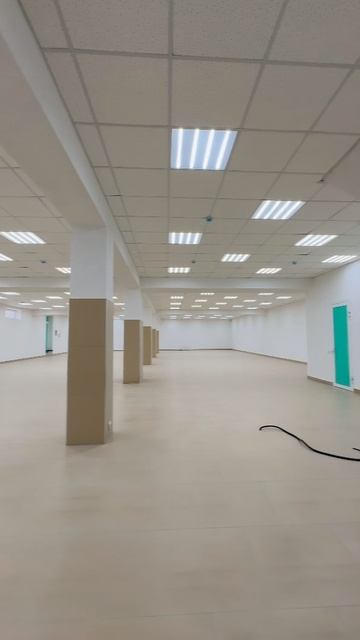 Кабардинская F 84466837