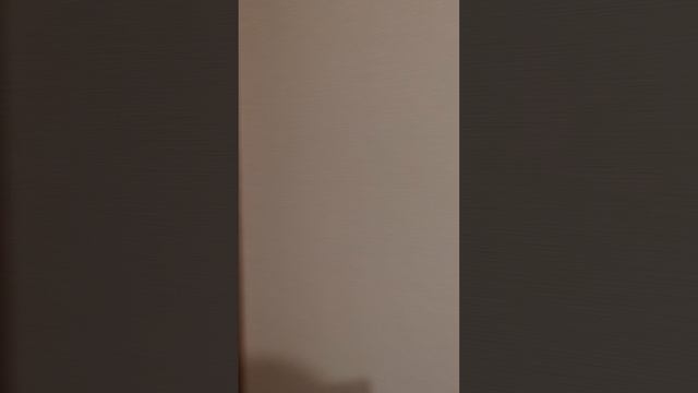 1000054449.mp4