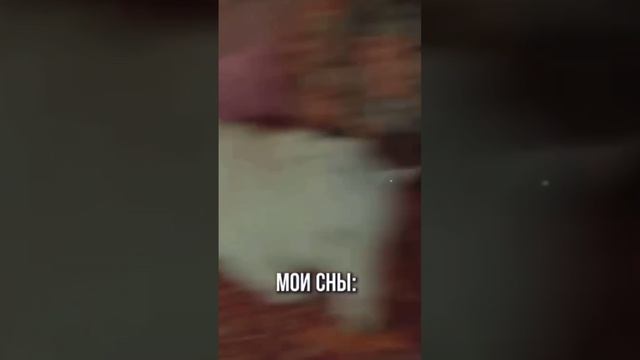 Психолог-сны многое могут сказать