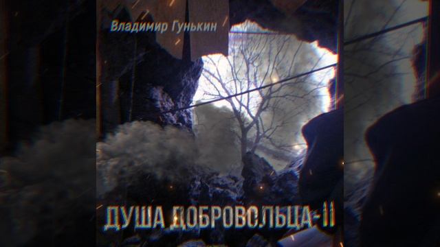 Владимир Гунькин - Душа добровольца 2