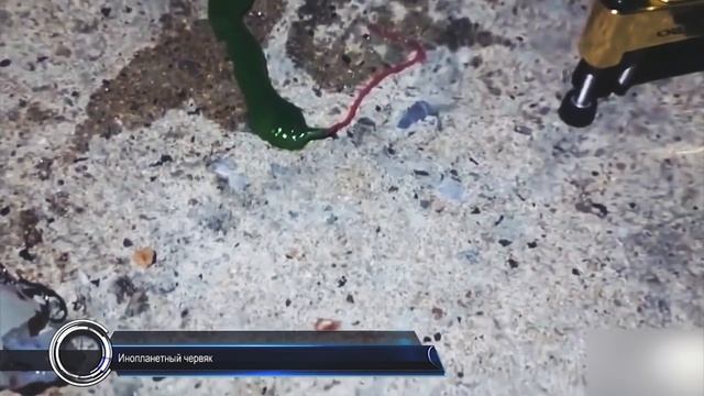 ЧТО ЭТО Инопланетный Червяк Монстр или чудовище в Тайване