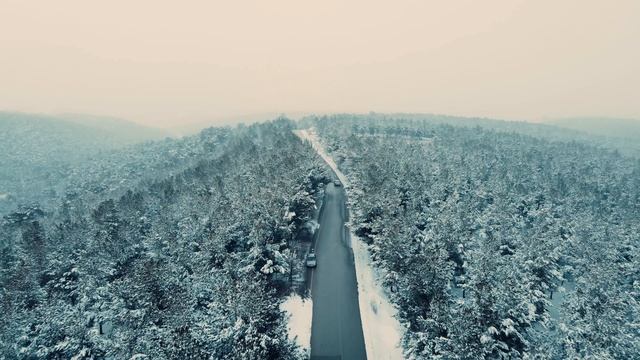 11124164-uhd_3840_2160_30fps