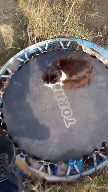 прикол _&