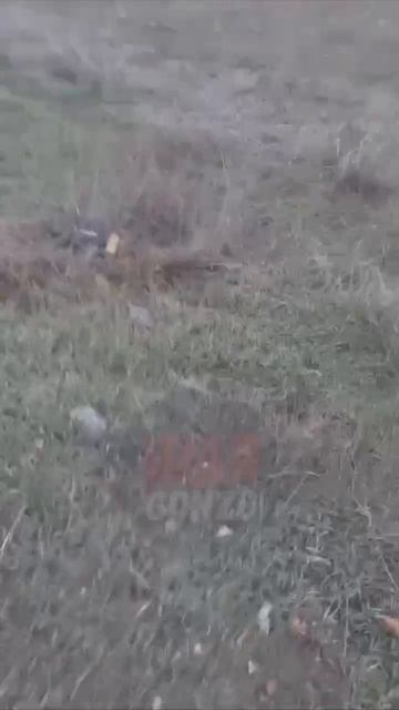 Дорога жизни в Запорожье усеяна дронами ВСУ