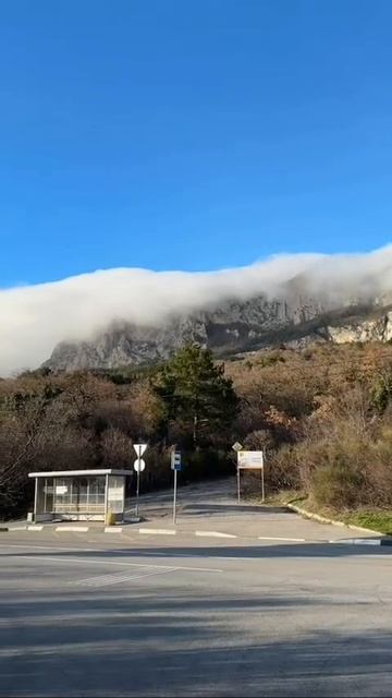 Солнечная погода в Крыму⛰️☀️