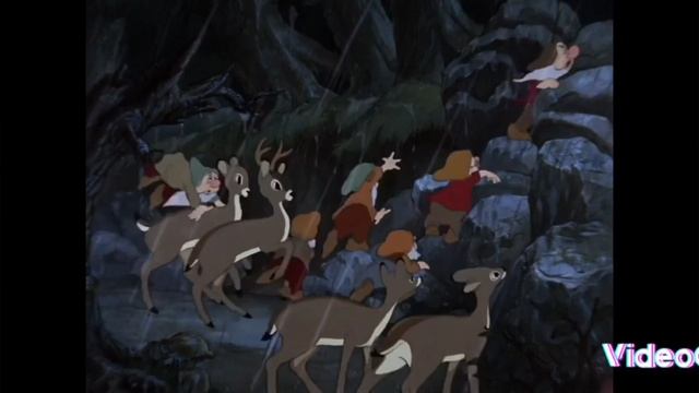 1000053150.mp4