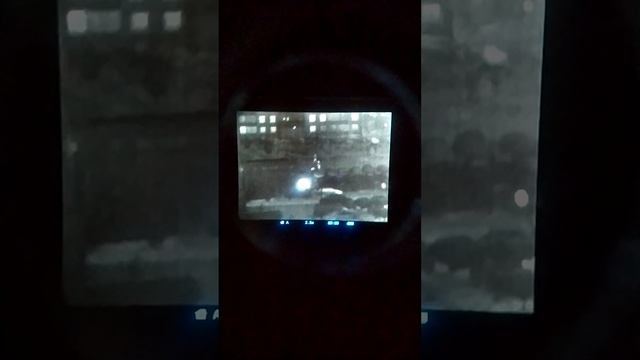 VID_20250123_220036.mp4