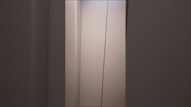 Сертолово центр квартира