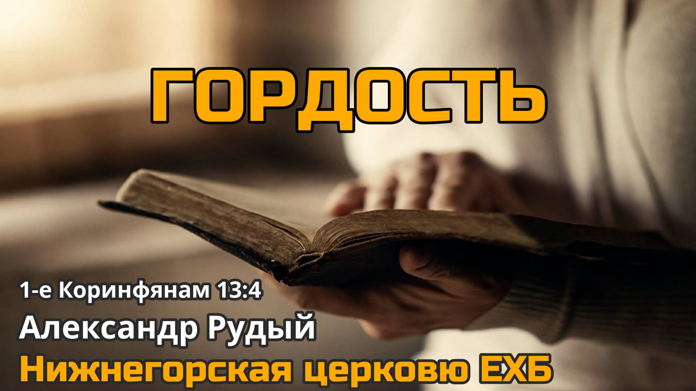 Гордость (Александр Рудый)