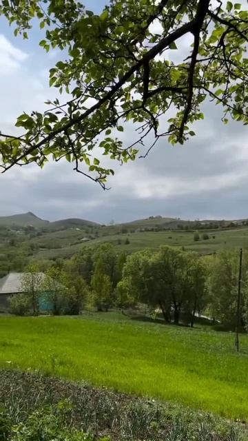 #Azərbaycan #Gədəbəy #aşiq #ruhani