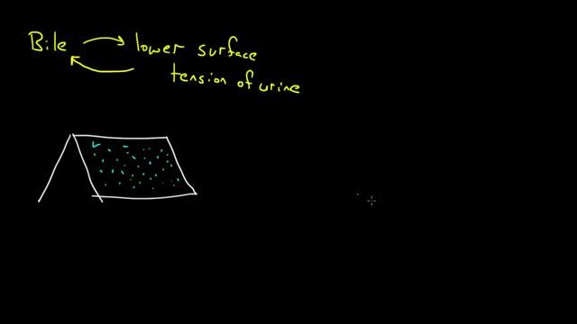 Surface Tension and Adhesion | Fluids | Physics | Khan Academy