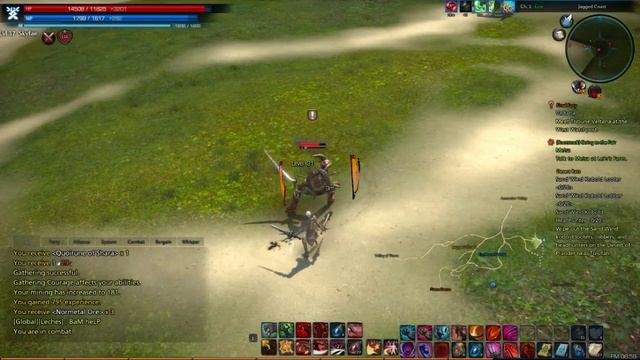 TERA online avatar weapon low level