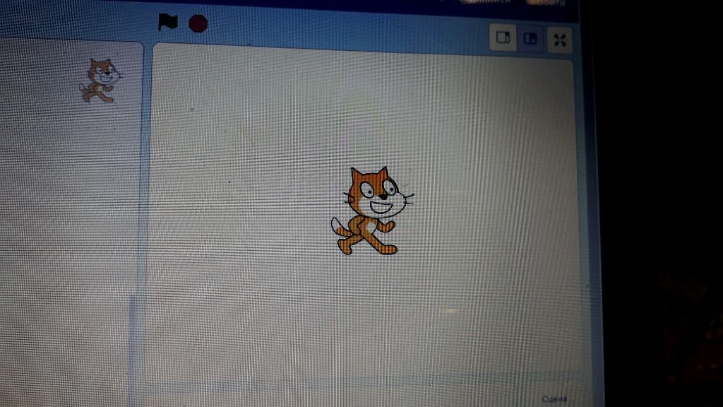 создаю игру на Skratch!!!😱