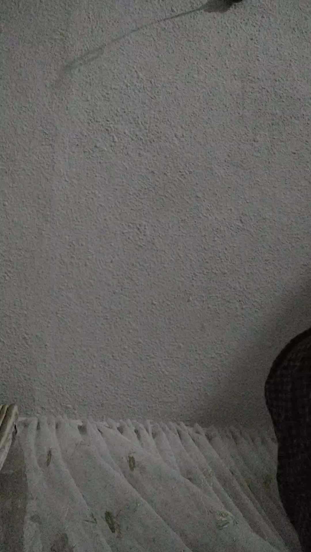 мы с внуками