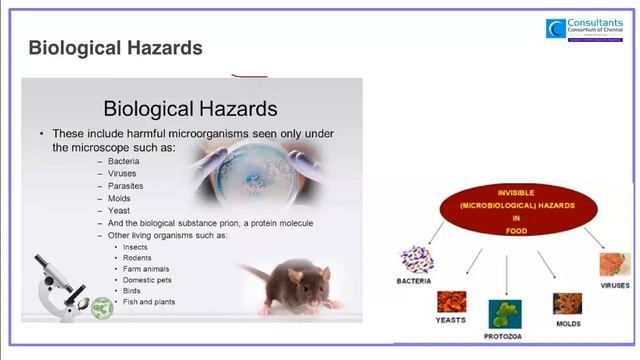 Sources of contamination: Physical, Chemical, Biological