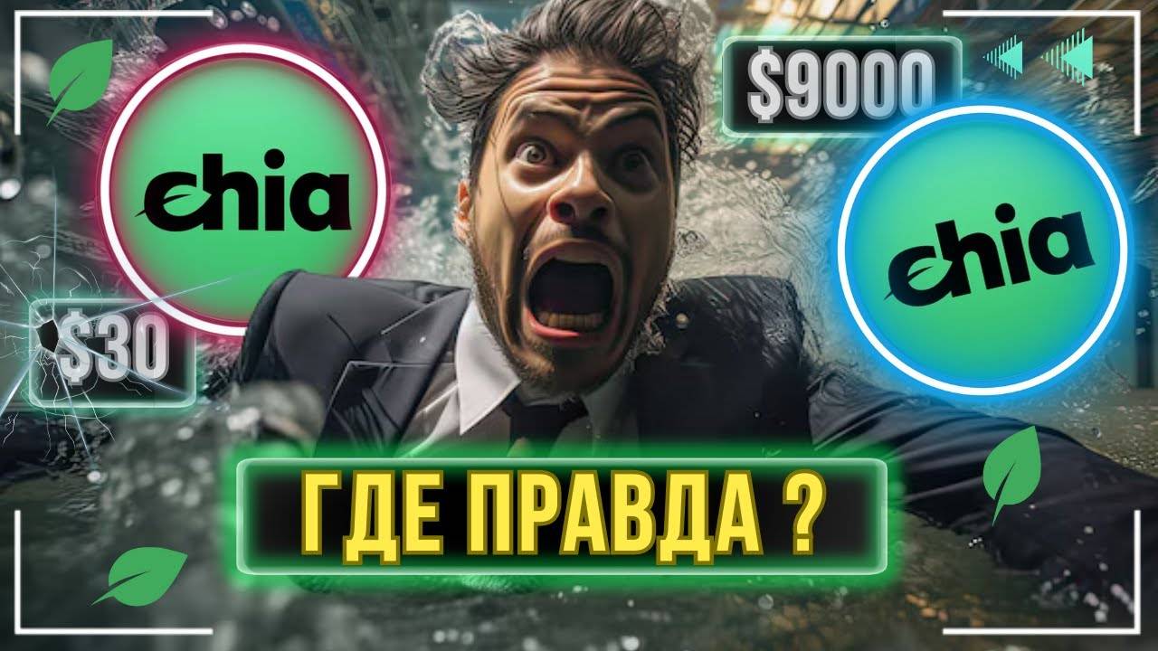 Сhia Network - ВЕЧНОЕ ПАДЕНИЕ ИЛИ ПОХОД НА "КОНСЕРВАТИВНЫЕ" $10000 ?