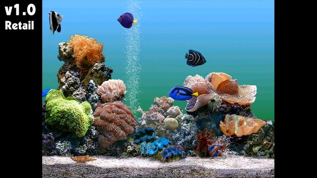The 40 Year History of the Marine Aquarium Screensaver