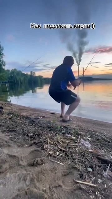 Как подсекать карпа 🎣#карп #прдсекай #carpfishing #карпфишинг #карповаяловля #рыбалка #рыбак #фидер