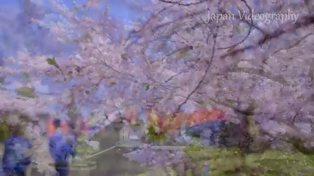 output(compress-video-online.com)