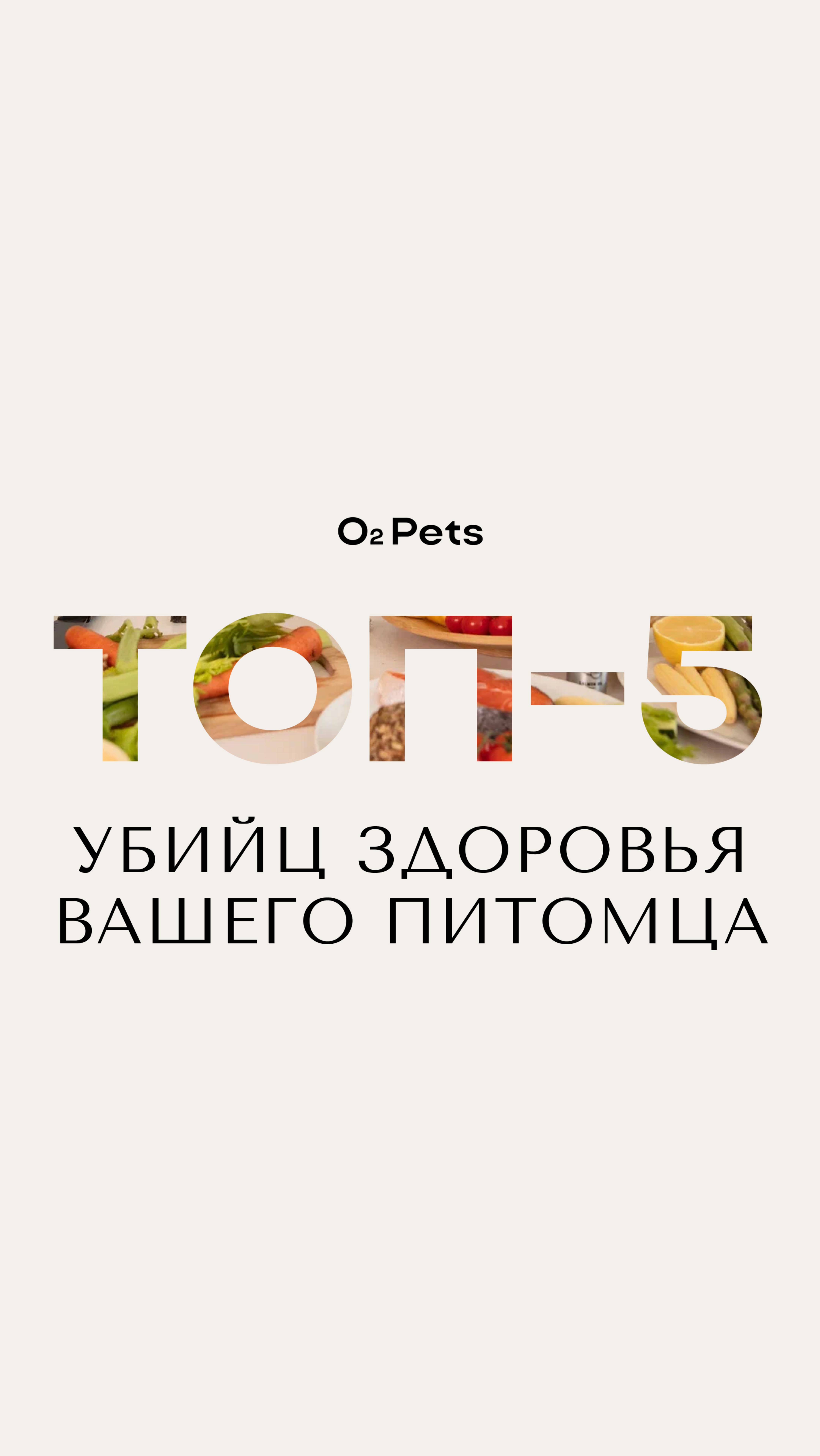 ТОП-5 убийц здоровья вашего питомца прямо на вашей кухне 🍽️