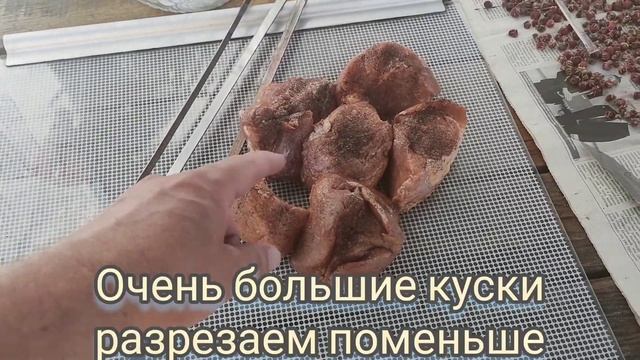 репортаж для радио 54