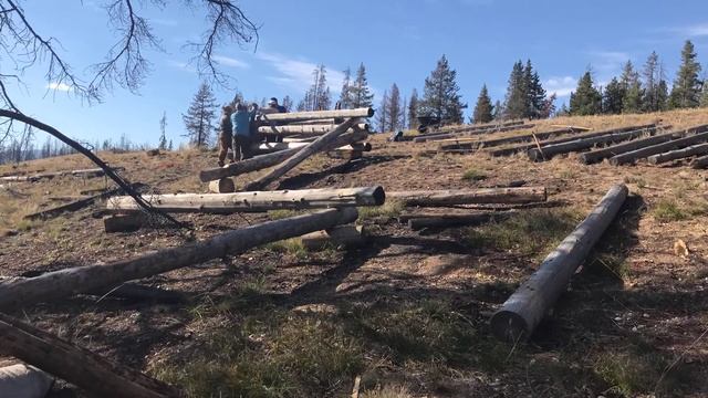 BlueFire PulsaR - Worm Fence Project