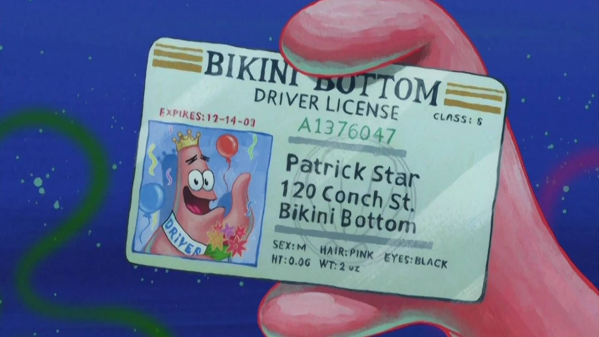 Patrick Star`s House