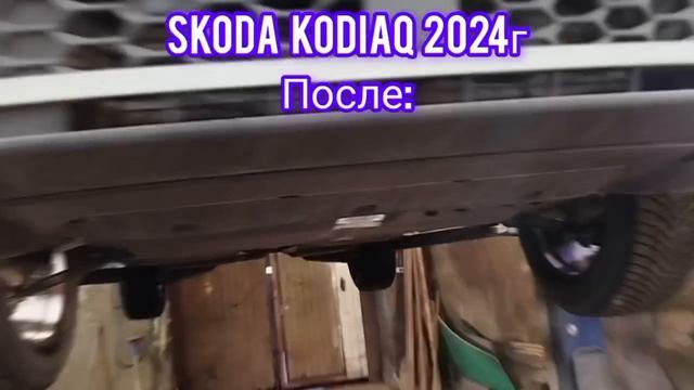 Skoda Kodiaq 2024 защита картера