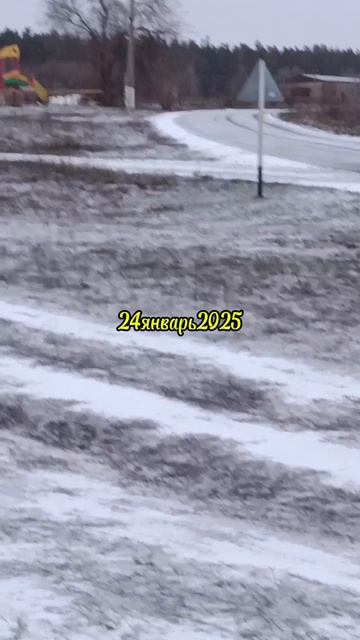 24январь2025