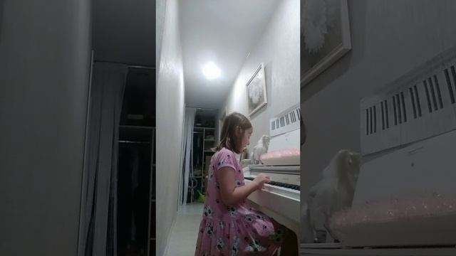 песня на фортепиано (пони звёздочка)
