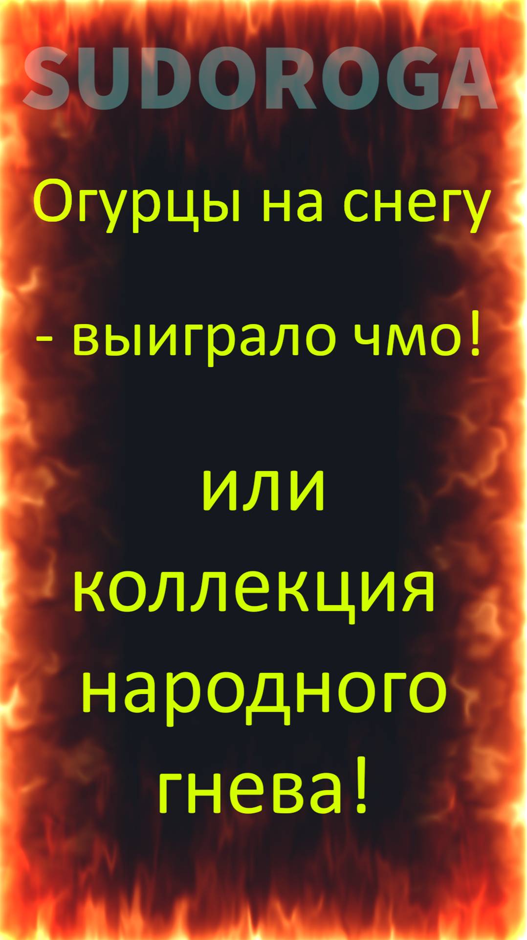 SUDOROGA - Огурцы на снегу - выиграло чмо!