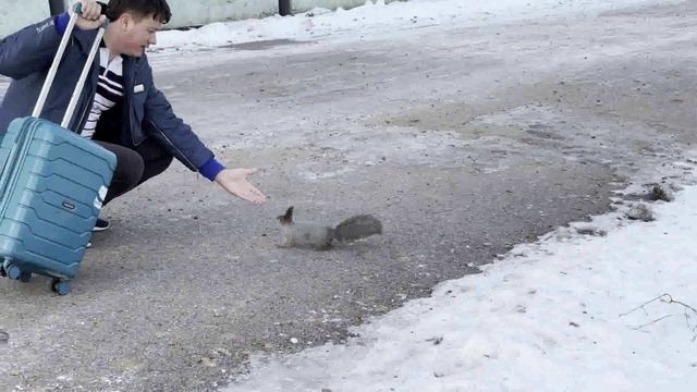 попрошайка