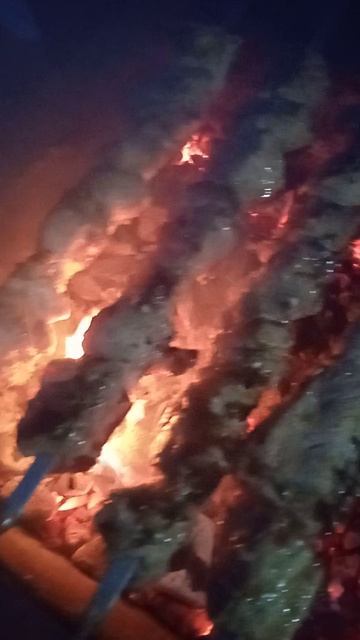 VID_20250116_175619.mp4