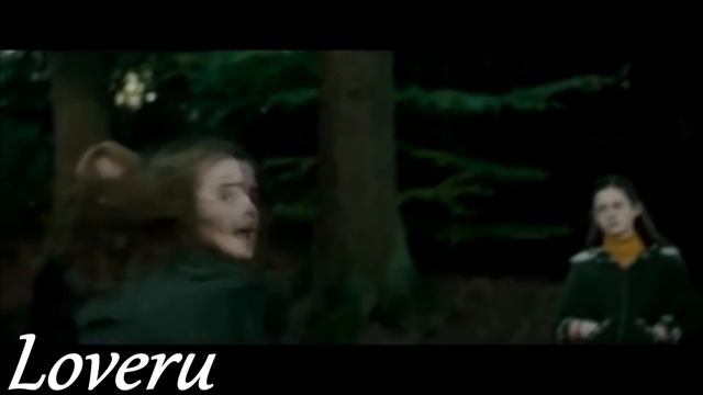 Draco and Hermione || Выбрала любовь