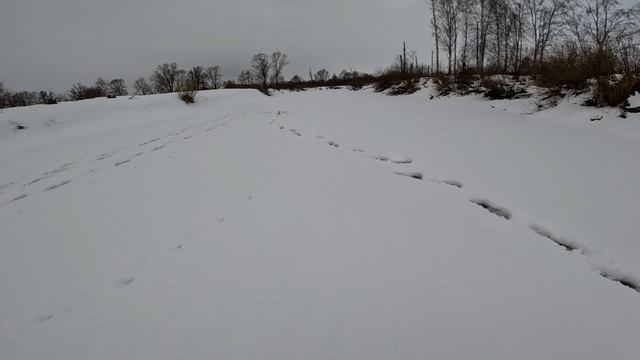 Рыбалка на Пикшенском водохранилище