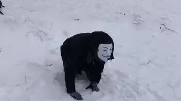 СНЮСОЕД  МЕНЯ АТАКОВАЛ!!!!