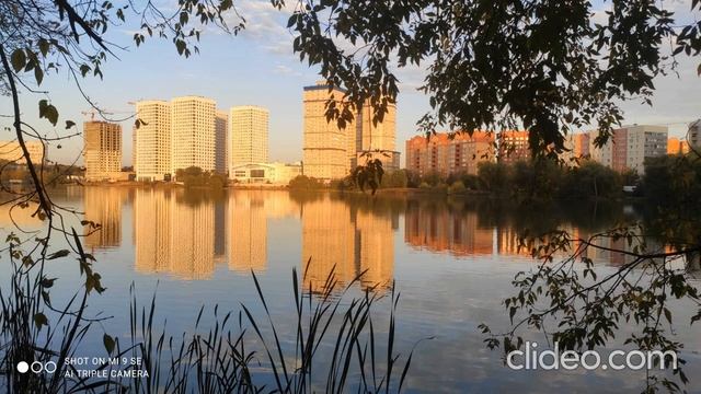 Школа Английского Языка в Пушкино _ Добрый день, Любимое