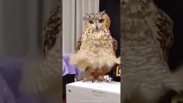 1000070838.mp4