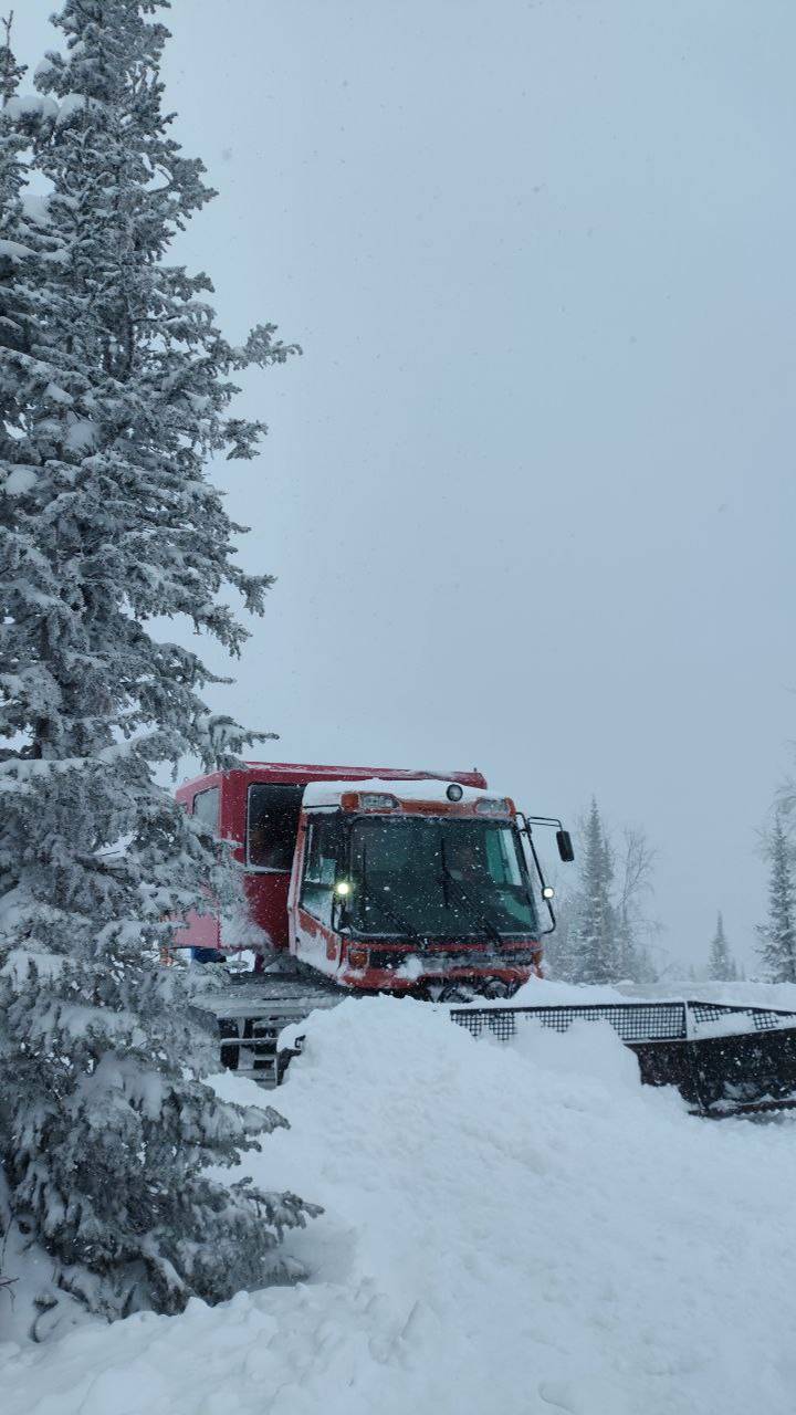 Powder Day (Пухляк) в Шерегеше